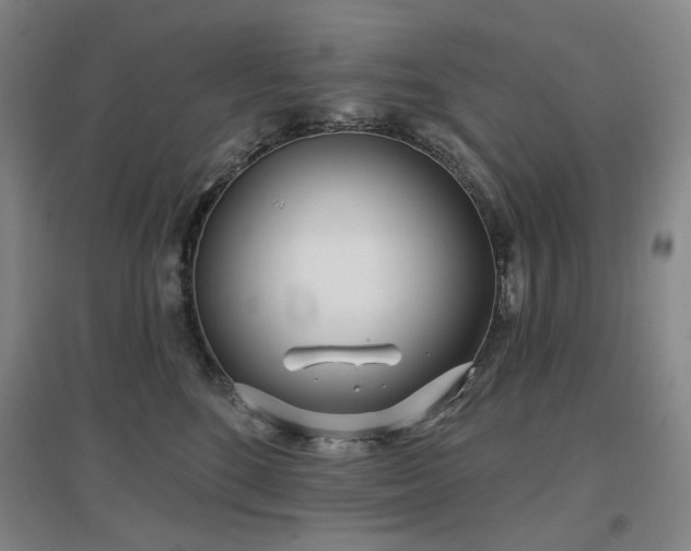 X0000097470520200802221238