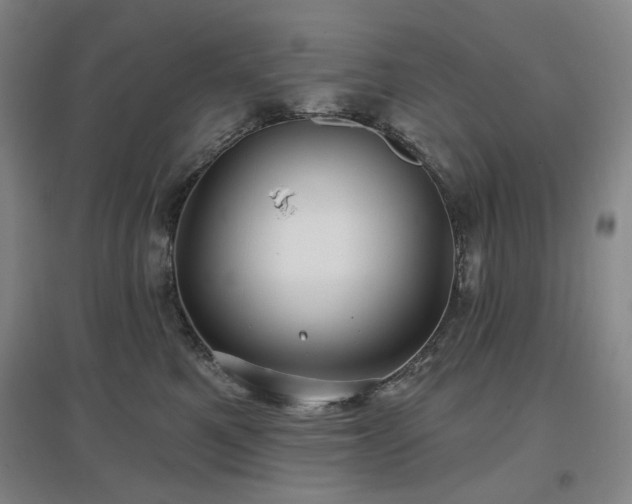 X0000097470521200802221238