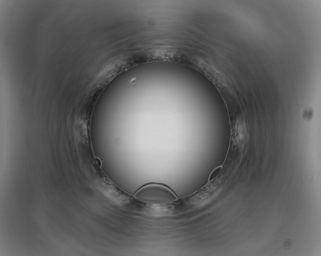 X0000097470522200802221238