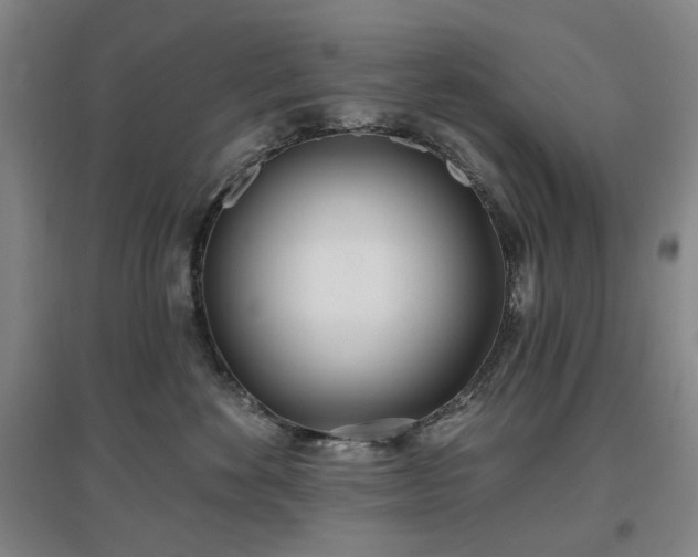 X0000097470524200802221238
