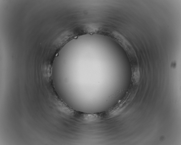 X0000097470525200802221238