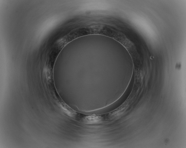 X0000097470526200802221238