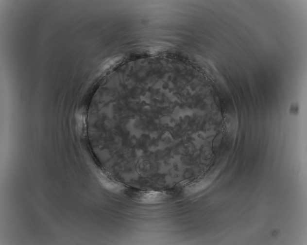 X0000097470527200802221238