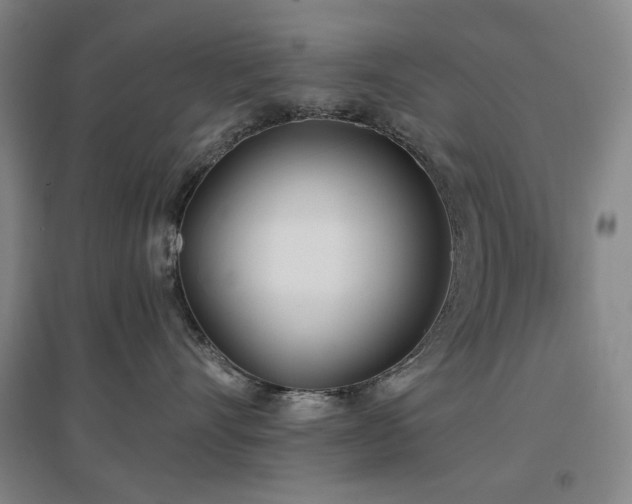X0000097470528200802221238
