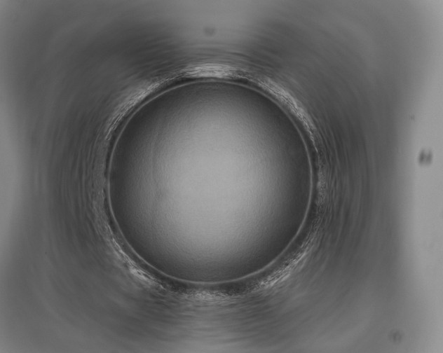 X0000097470529200802221238