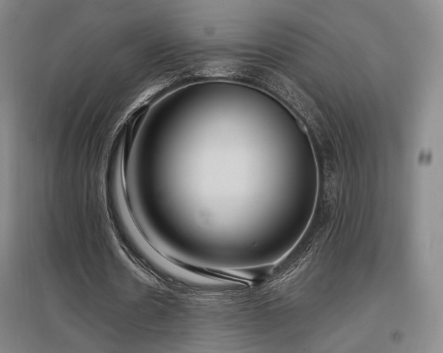X0000097470530200802221238