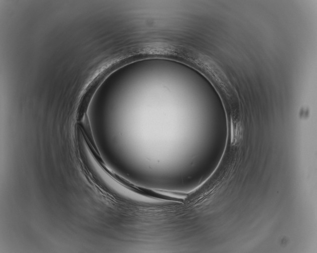 X0000097470531200802221238
