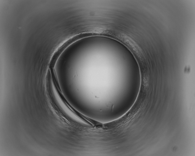 X0000097470532200802221238