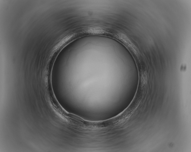 X0000097470533200802221238