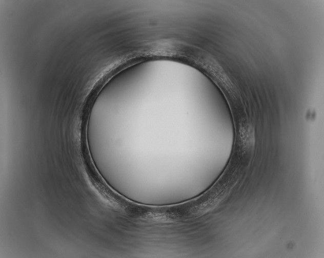 X0000097470534200802221238