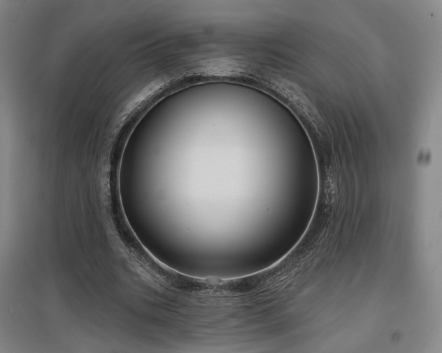 X0000097470535200802221238