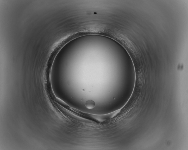 X0000097470536200802221238