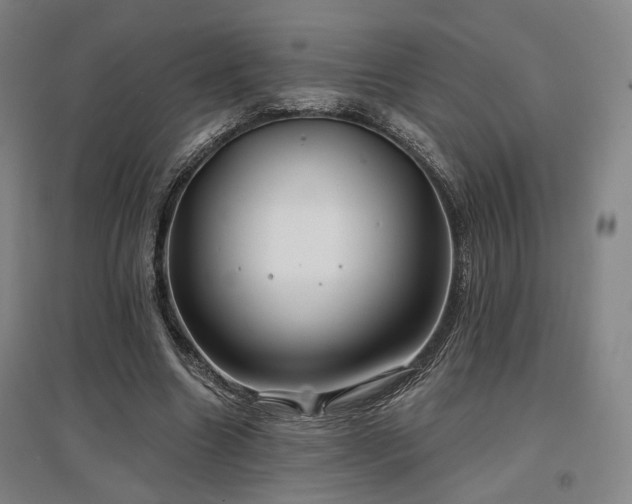 X0000097470538200802221238