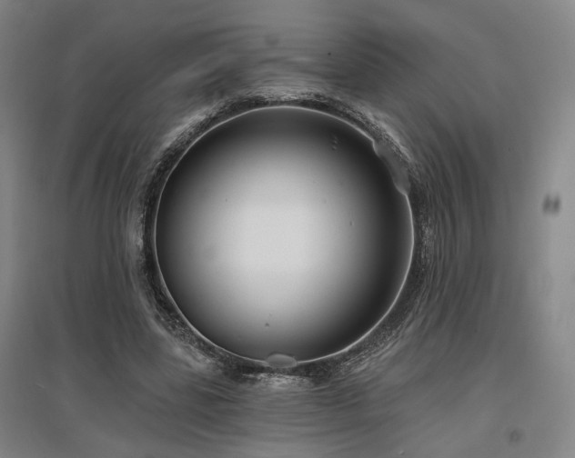 X0000097470539200802221238