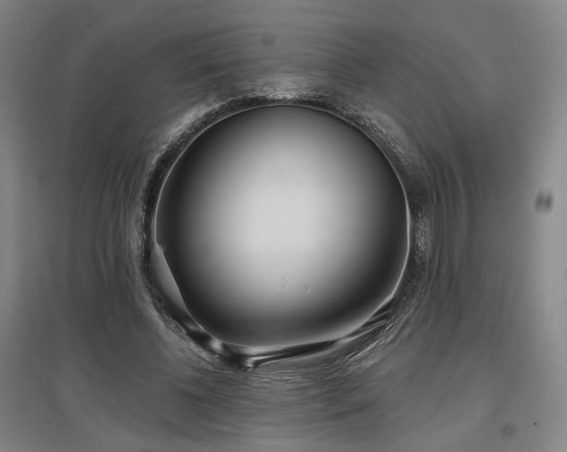 X0000097470540200802221238