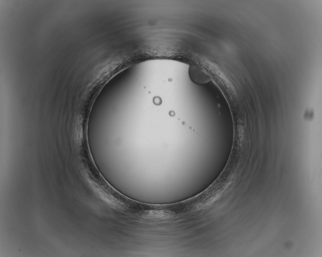 X0000097470541200802221238
