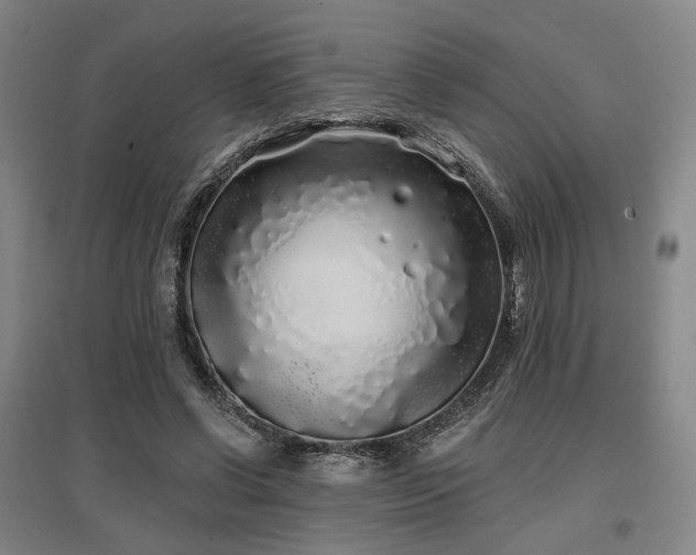 X0000097470542200802221238
