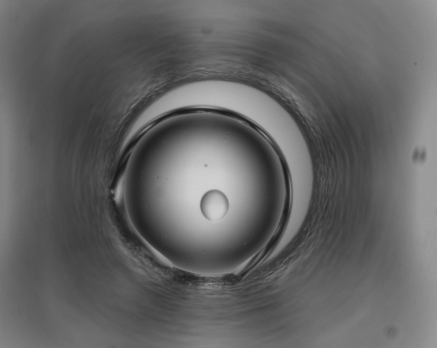 X0000097470546200802221238