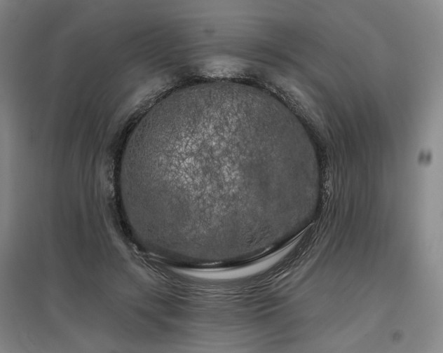 X0000097470547200802221238
