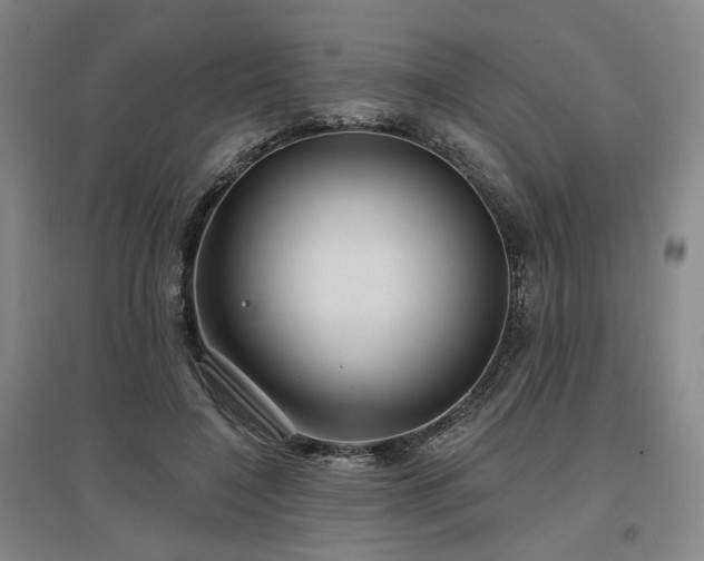 X0000097470548200802221238