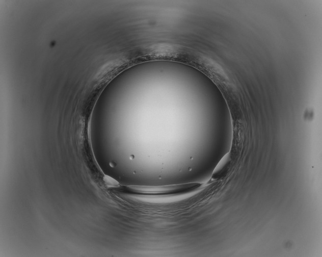 X0000097470550200802221238