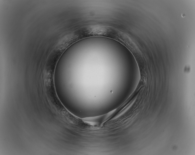 X0000097470551200802221238