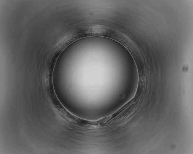 X0000097470552200802221238