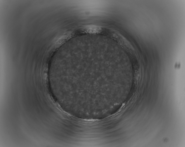 X0000097470553200802221238