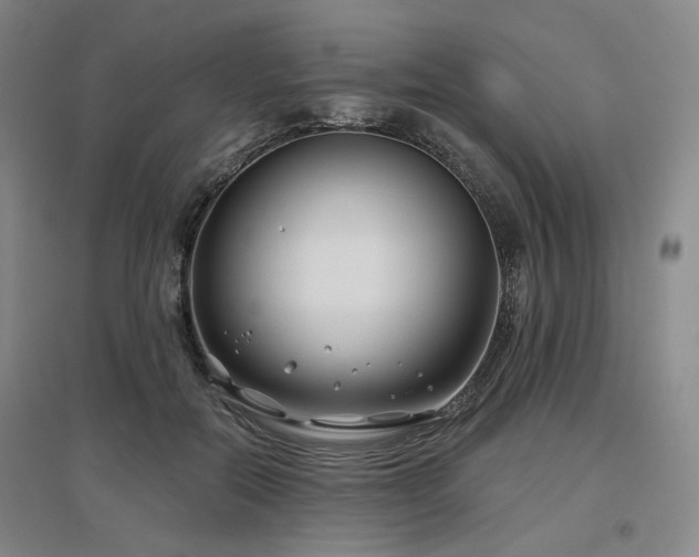 X0000097470554200802221238