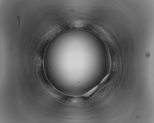 X0000097470555200802221238