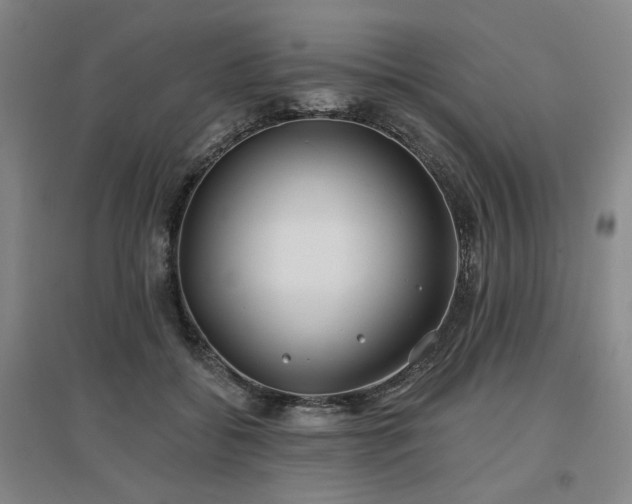 X0000097470556200802221238