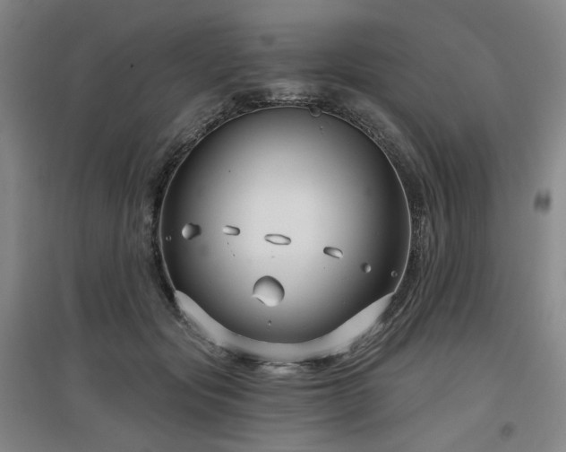 X0000097470557200802221238