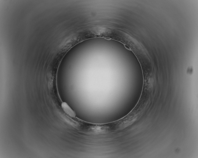 X0000097470558200802221238