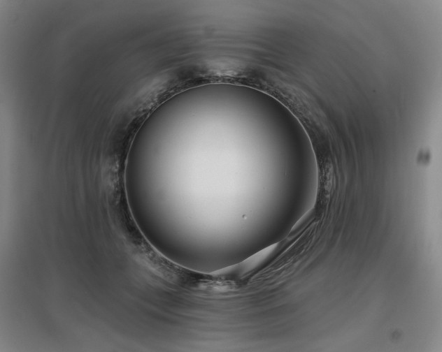 X0000097470559200802221238