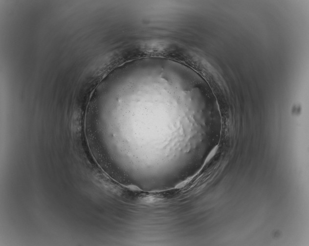 X0000097470561200802221238