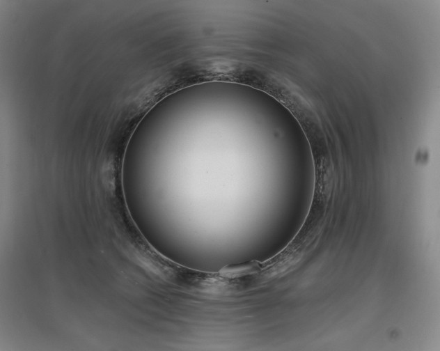 X0000097470562200802221238