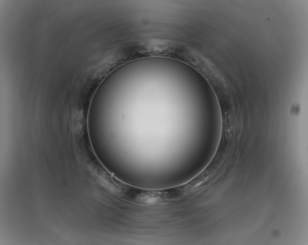 X0000097470563200802221238