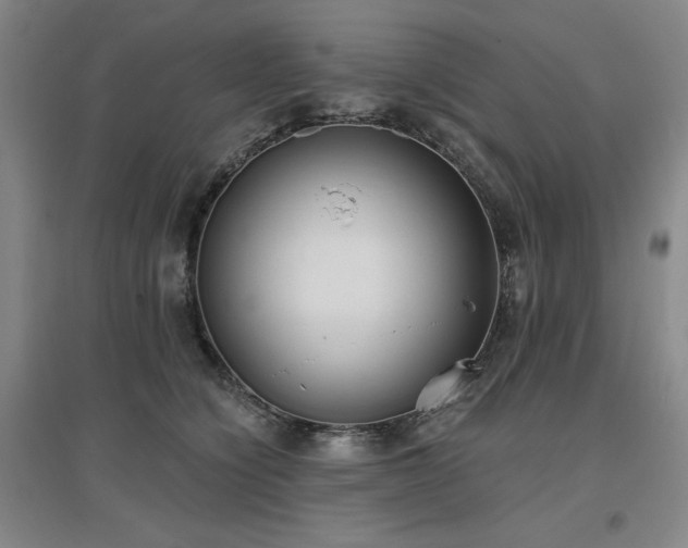 X0000097470564200802221238