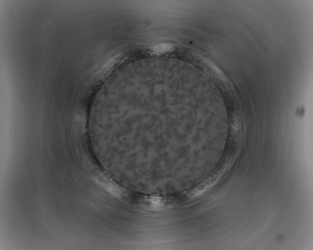 X0000097470565200802221238