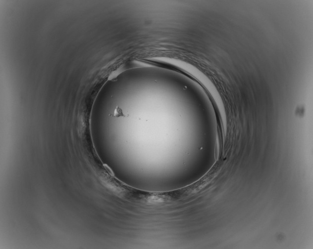 X0000097470566200802221238