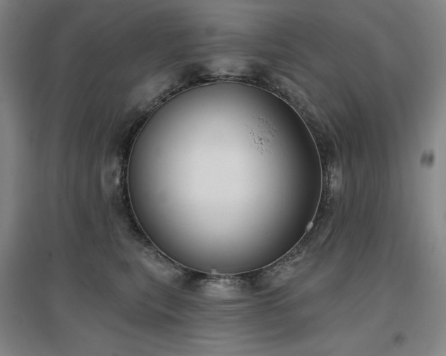 X0000097470567200802221238