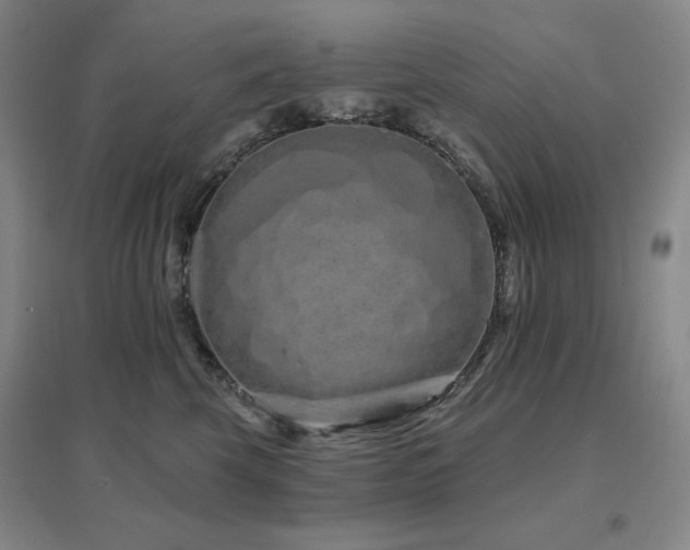 X0000097470569200802221238