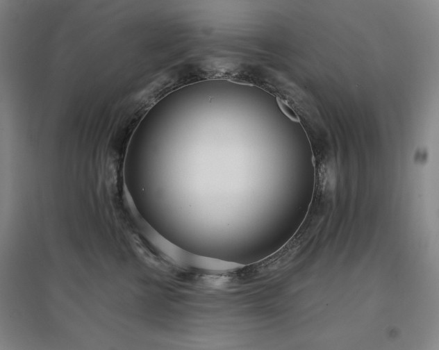 X0000097470570200802221238