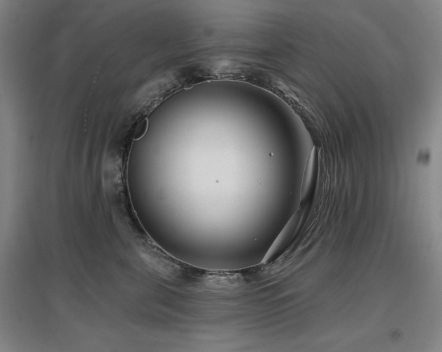 X0000097470571200802221238