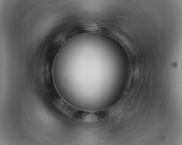 X0000097470572200802221238