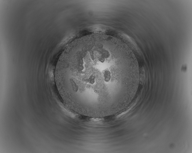 X0000097470573200802221238