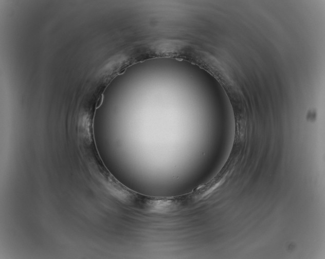 X0000097470575200802221238