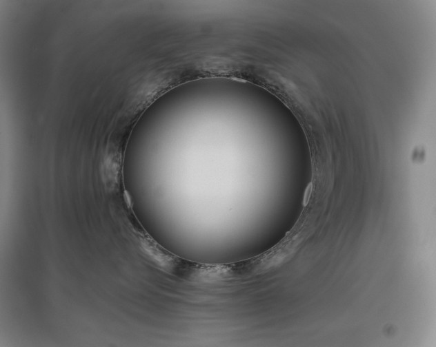X0000097470576200802221238