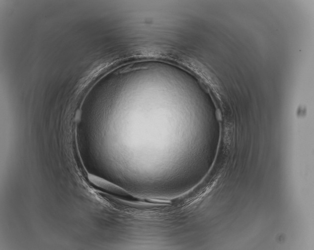 X0000097470577200802221238