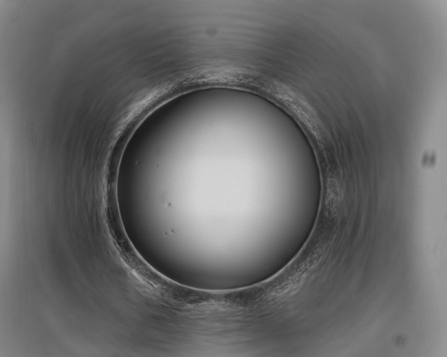 X0000097470578200802221238